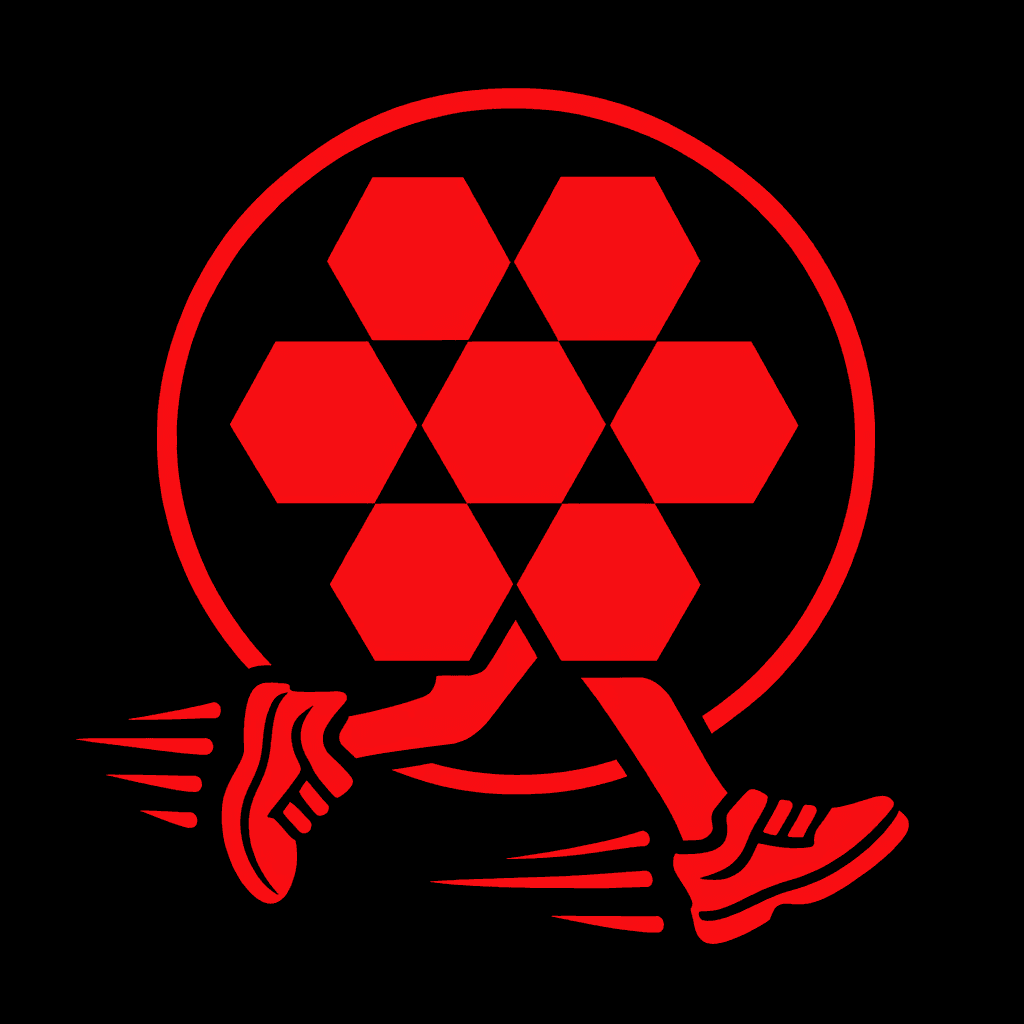 The Swarms Runner