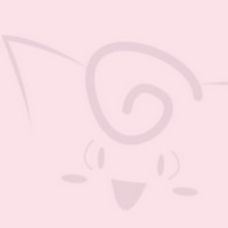 PokemonTerminal