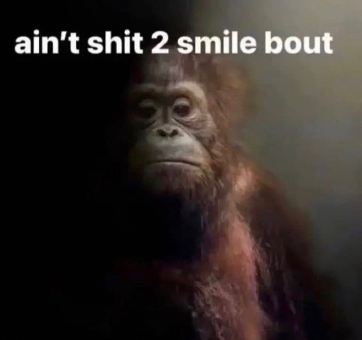 MONKE