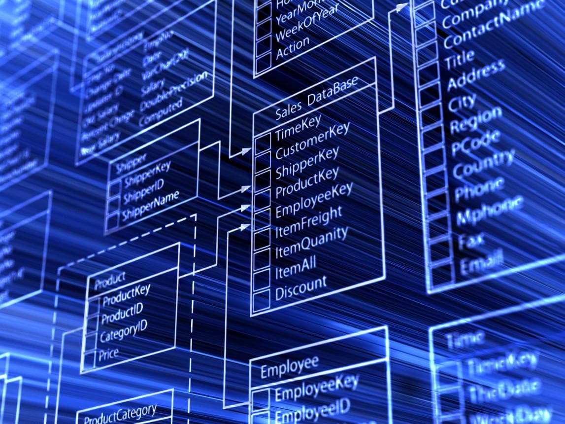 The Database Design & Optimization Consultant
